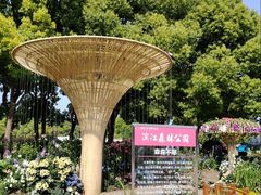 -上海滨江森林公园