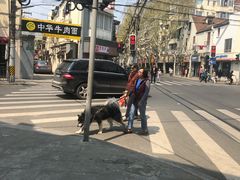 -乔家栅(襄阳南路店)