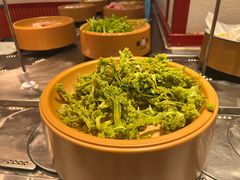 -龍歌自助小火锅(漳州二路爱购店)