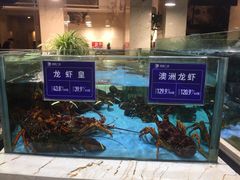 -旺顺阁海鲜广场(亚运村店)