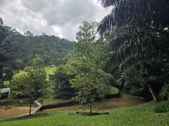 -槟城植物园