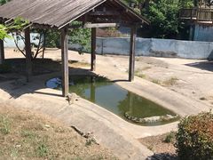 -无锡动物园·太湖欢乐园
