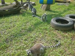 -西安秦岭野生动物园