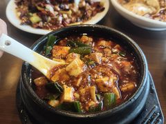 -陈麻婆豆腐总店