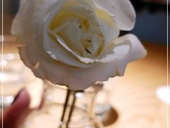 -gaga(深圳福田星河COCO Park店)