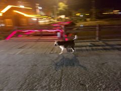 iphone_upload_pic-红山村