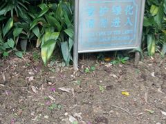 -东风公园