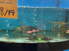 -满江红大酒店(城站店)