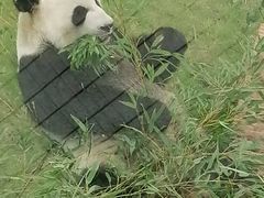 -无锡动物园·太湖欢乐园