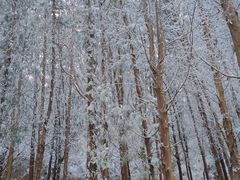 -龙洞风景区-藏龙涧