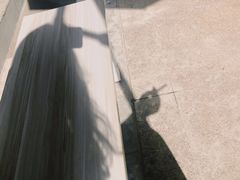 -隹木咖啡馆(宝龙广场店)