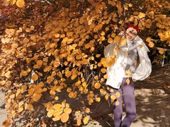 -大兴滨河森林公园