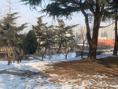 -南山公园