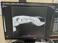 -酷宠动物医院(天通西苑店)