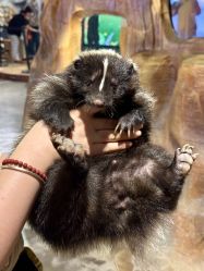 -Zoolung Zoolung动物主题公园(海信广场店)