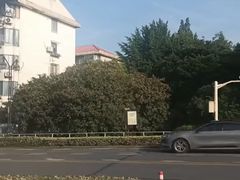 -嘉定紫藤园