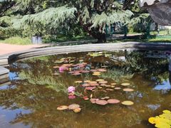 -国家植物园南园