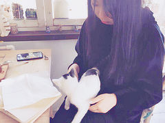-海边的猫和咖啡馆