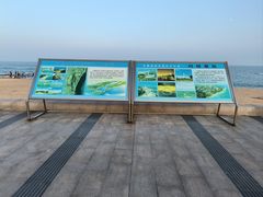 -日照灯塔风景区