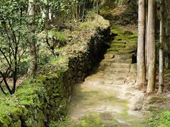 -唐崖土司城遗址