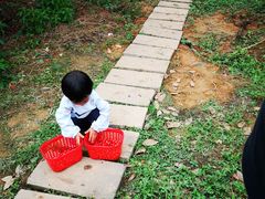 -樱桃山旅游景区