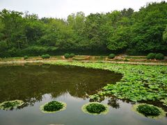 -棒棰岛宾馆景区