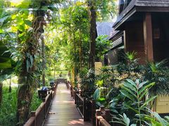 -四季酒店下午茶