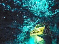 -怀托摩萤火虫洞