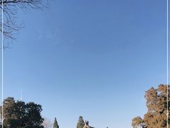 -北京鹫峰国家森林公园