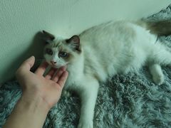 -零纪元VR体验馆·桌游(黄浦店)