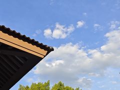 -福建鲤鱼洲酒店