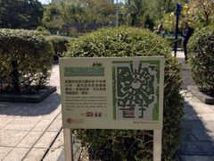 -九龙公园