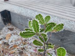 -终南山南五台景区