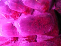 -中环花鸟鱼虫市场
