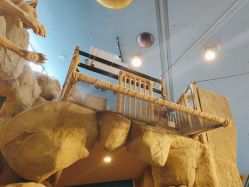 点击看大图 -卡通尼·Safari非洲探索乐园·生日会(金桥国际商业广场店)