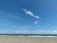 -北海金海湾红树林生态旅游区