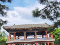 -武汉园博园(武汉自然博物馆)