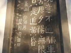 -西安乐游原