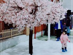 -Mr·Kuma酷么先生雪之乐园