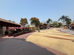 -上海野生动物园老虎餐厅