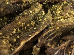 -火刻北京烤鸭(市北区·鲍岛市场店)