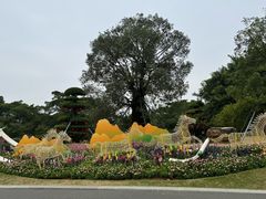 -南宁南湖公园