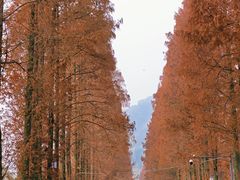 -青城山