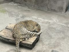 -西安秦岭野生动物园