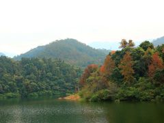 -广州市石门国家森林公园
