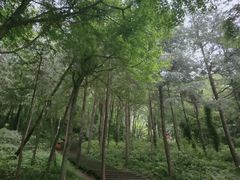 -青城山