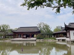 -上海滨江森林公园