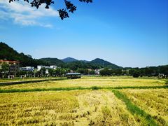 -红山村