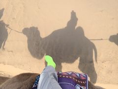 -银肯塔拉沙漠生态旅游景区