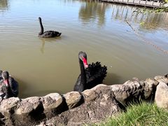 -漩门湾国家湿地公园